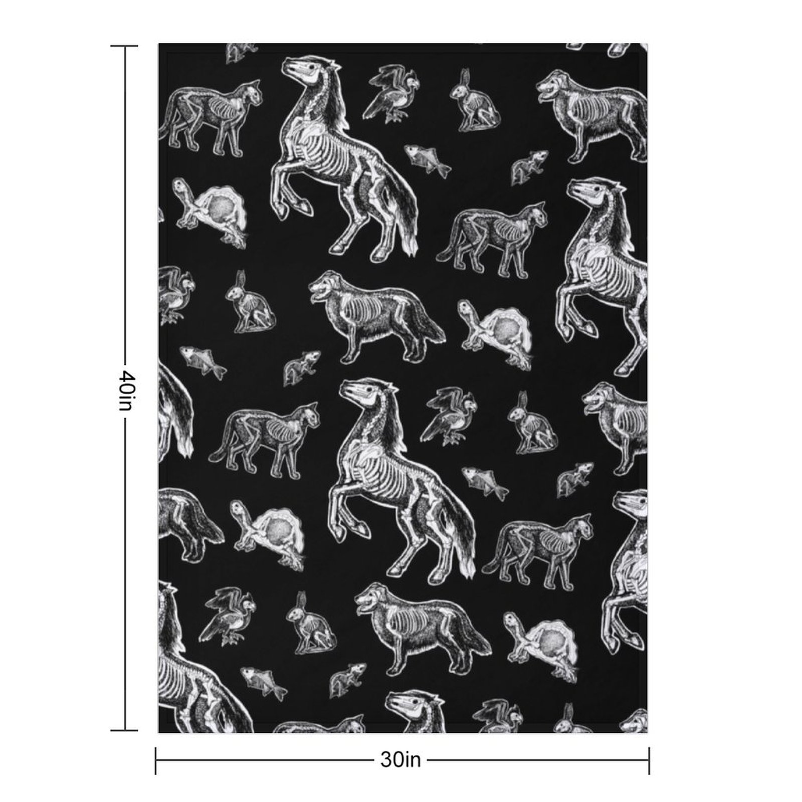Veterinary Technician :: X-ray - đánh giá và giá 3D Printing X Ray